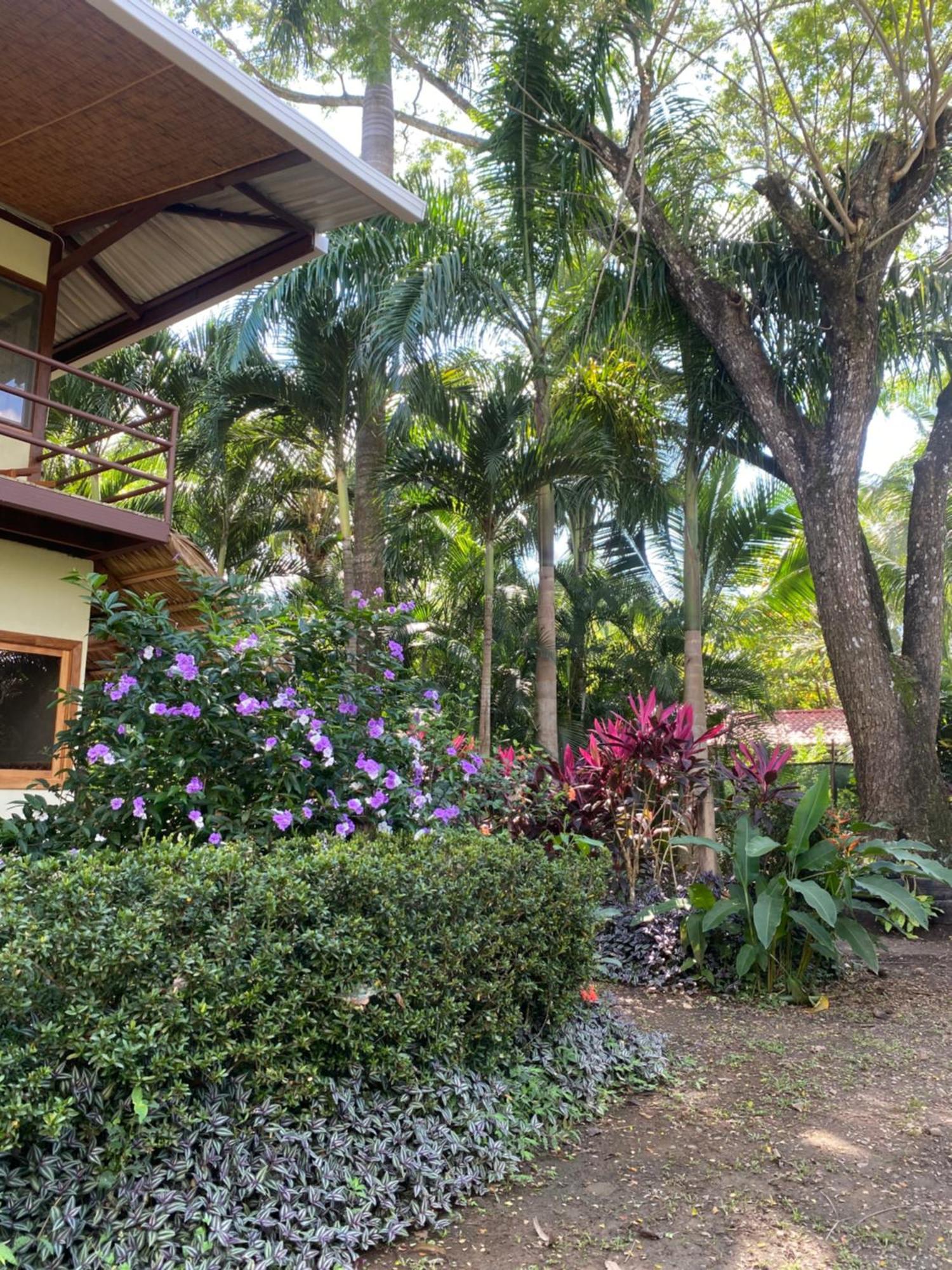 Jazlyn Lodge & Tours Paquera Dış mekan fotoğraf